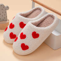 Pantoufles d'hiver en coton pour femmes, toboggans moelleux chauds arc-en-ciel pour la maison, tongs en peluche d'intérieur, chaussures souples anti-aldes pour femmes, vente en gros 1